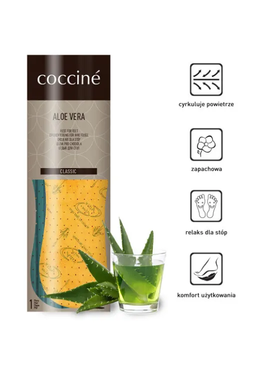 Coccine Wkładki Aloe Vera Brązowy