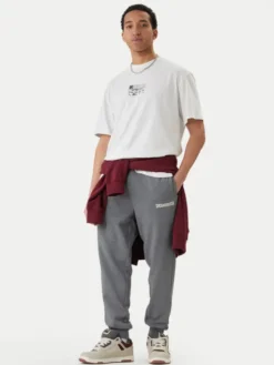 DC Shoes Spodnie dresowe Baseline ADYFB03069 Szary Regular Fit