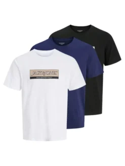 Jack & Jones Komplet t-shirtów Inwood 12291374 Kolorowy Regular Fit