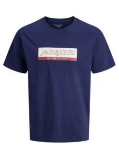 Jack & Jones Komplet t-shirtów Inwood 12291374 Kolorowy Regular Fit