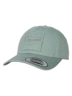 PITBULL Czapka z daszkiem Czapka Snapback SEABRIDGE uniwersalny Zielony
