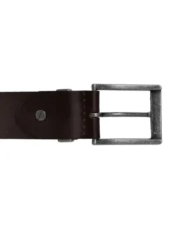 PITBULL Pasek Classic II Brązowy