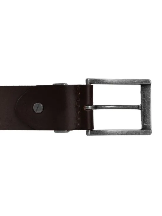 PITBULL Pasek Classic II Brązowy