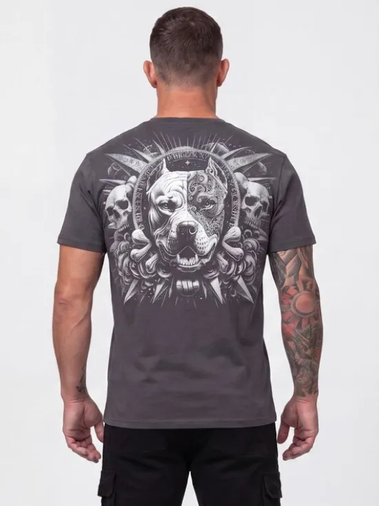 PITBULL T-Shirt PITBULL WORLD Szary Regular Fit