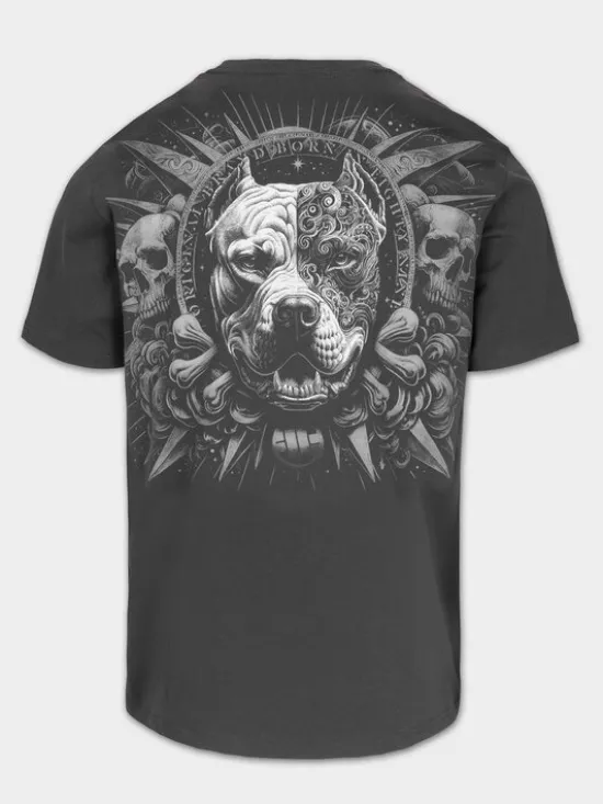 PITBULL T-Shirt PITBULL WORLD Szary Regular Fit