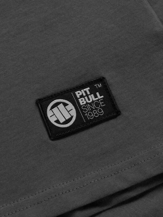 PITBULL T-Shirt PITBULL WORLD Szary Regular Fit