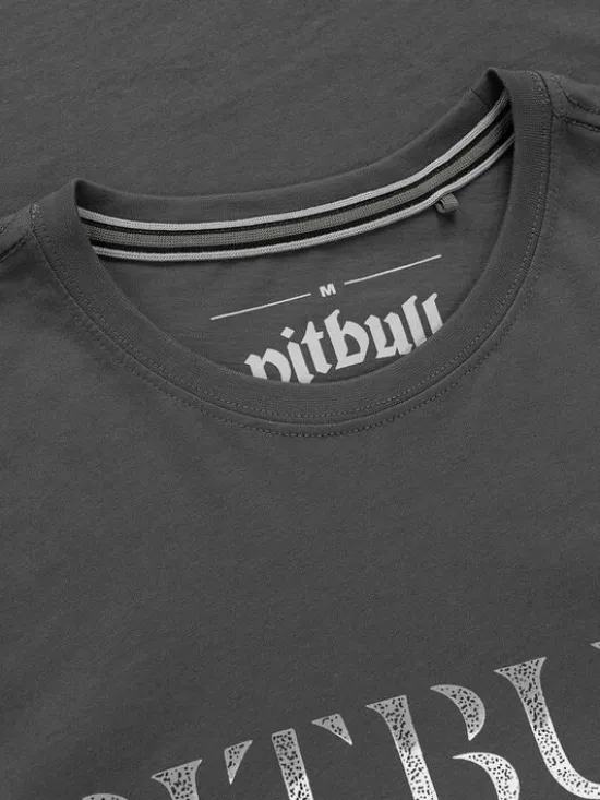 PITBULL T-Shirt PITBULL WORLD Szary Regular Fit