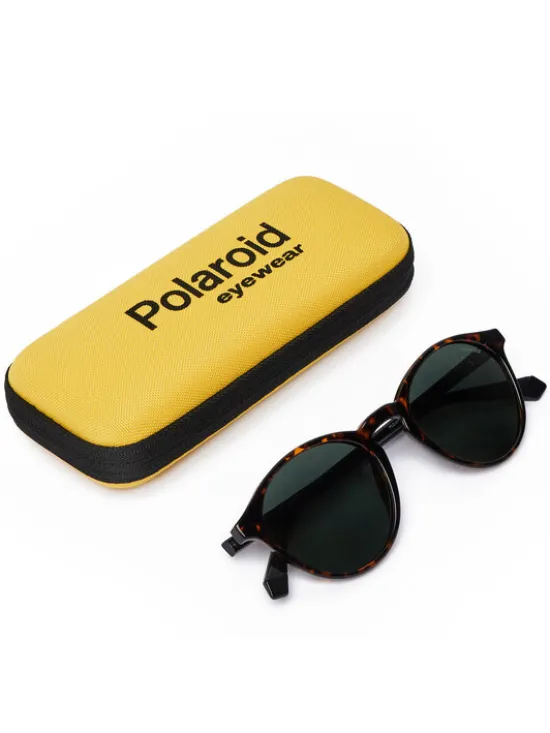 Polaroid Okulary przeciwsłoneczne C PLD 4153/S Brązowy