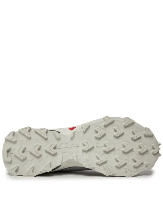 Salomon Buty do biegania Alphacross 5 473133 29 W0 Szary