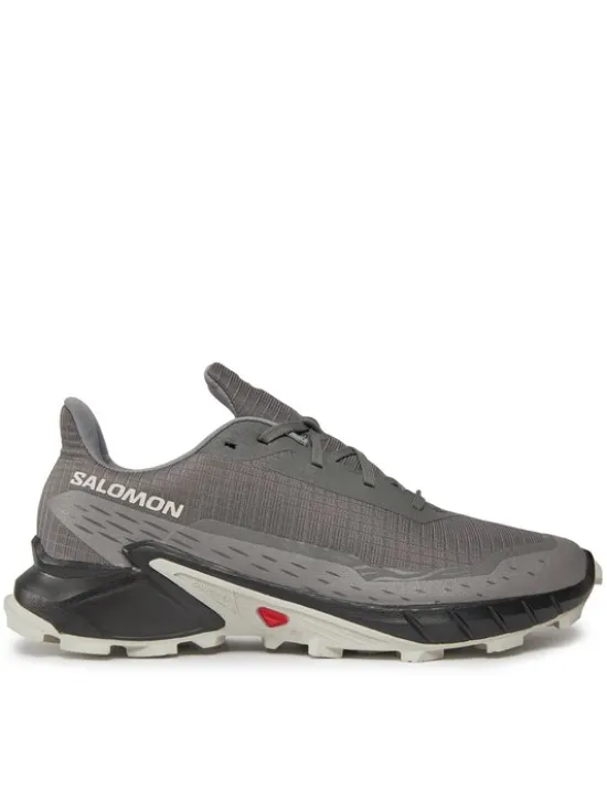 Salomon Buty do biegania Alphacross 5 473133 29 W0 Szary