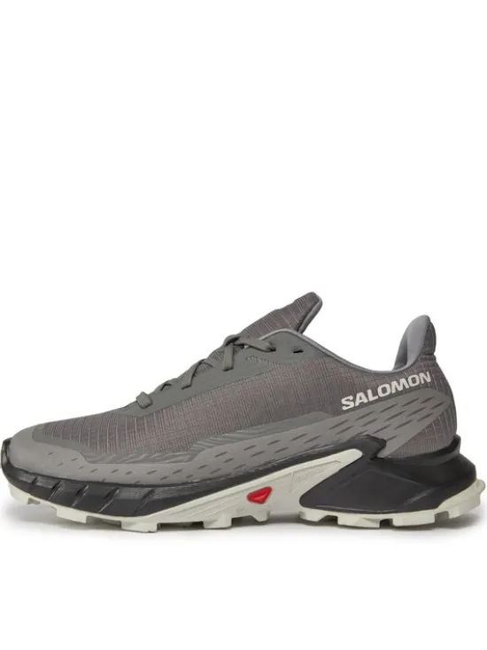Salomon Buty do biegania Alphacross 5 473133 29 W0 Szary