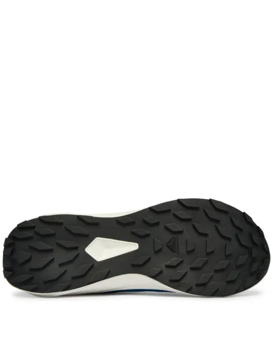 Salomon Buty do biegania Alphaglide L48000400 Niebieski