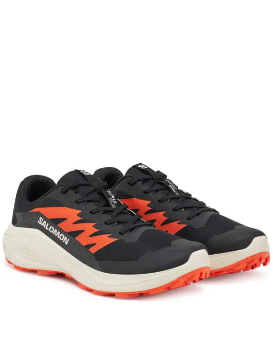 Salomon Buty do biegania Alphaglide L47801100 Czarny