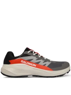 Salomon Buty do biegania Alphaglide Gore-Tex L47975300 Szary