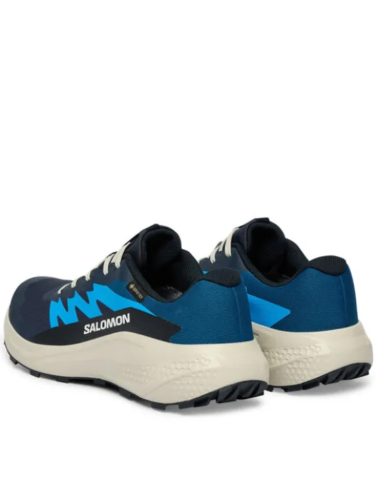Salomon Buty do biegania Alphaglide Gtx L47975100 Niebieski