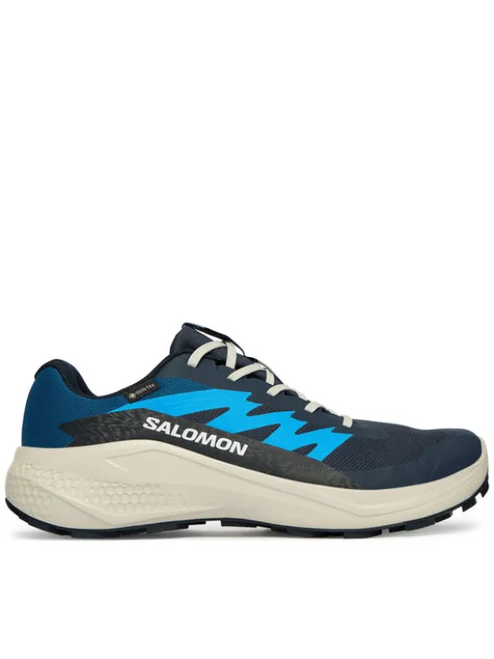 Salomon Buty do biegania Alphaglide Gtx L47975100 Niebieski