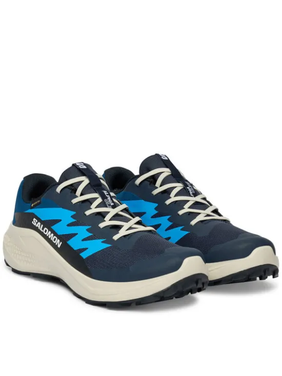 Salomon Buty do biegania Alphaglide Gtx L47975100 Niebieski