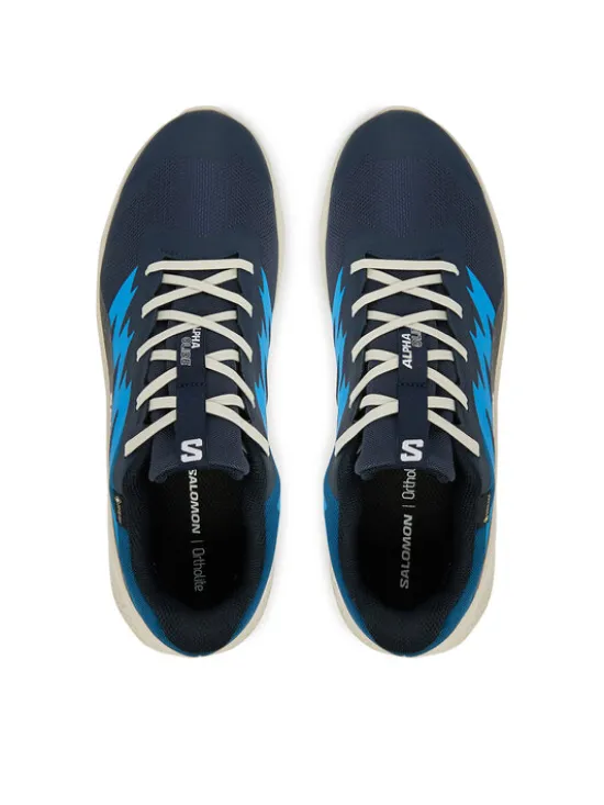 Salomon Buty do biegania Alphaglide Gtx L47975100 Niebieski
